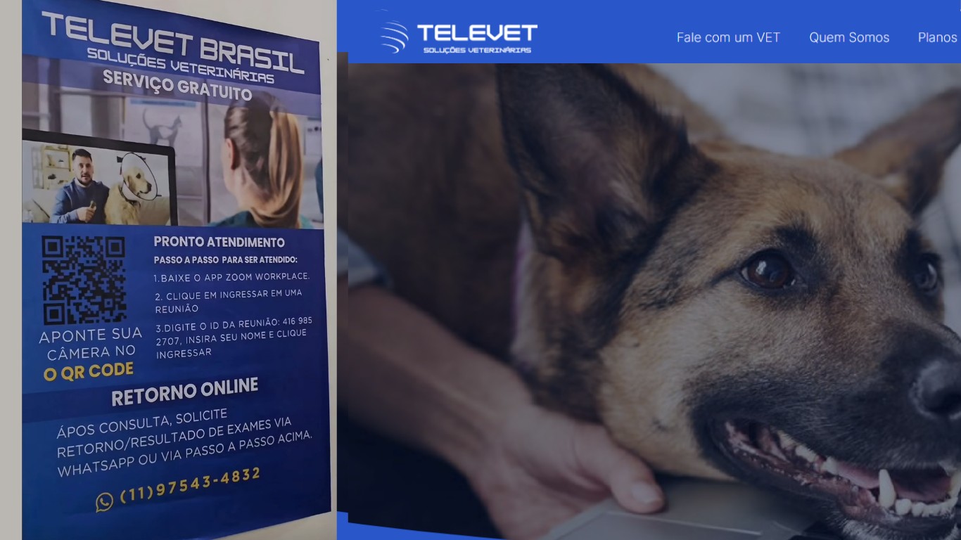 Natal: Hospital Veterinário municipal oferece teleatendimento gratuito para cães e gatos