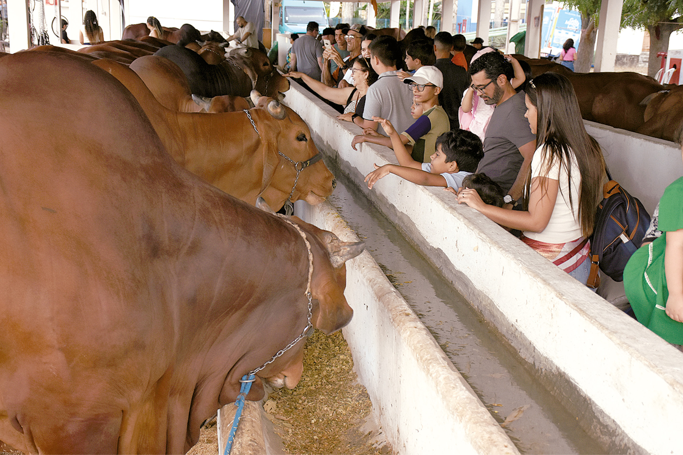 Programação reuniu exposições, leilões, palestras e atrações culturais; faturamento total ainda será consolidado pela organização |
