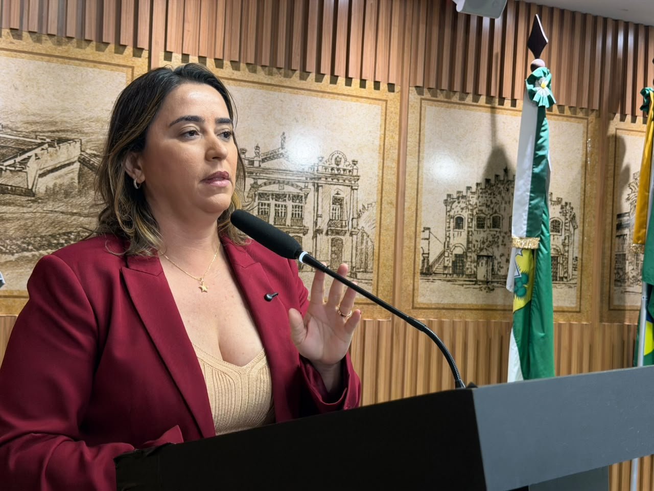Proposta também impede agressores de contratar com o poder público e receber incentivos fiscais por cinco anos (