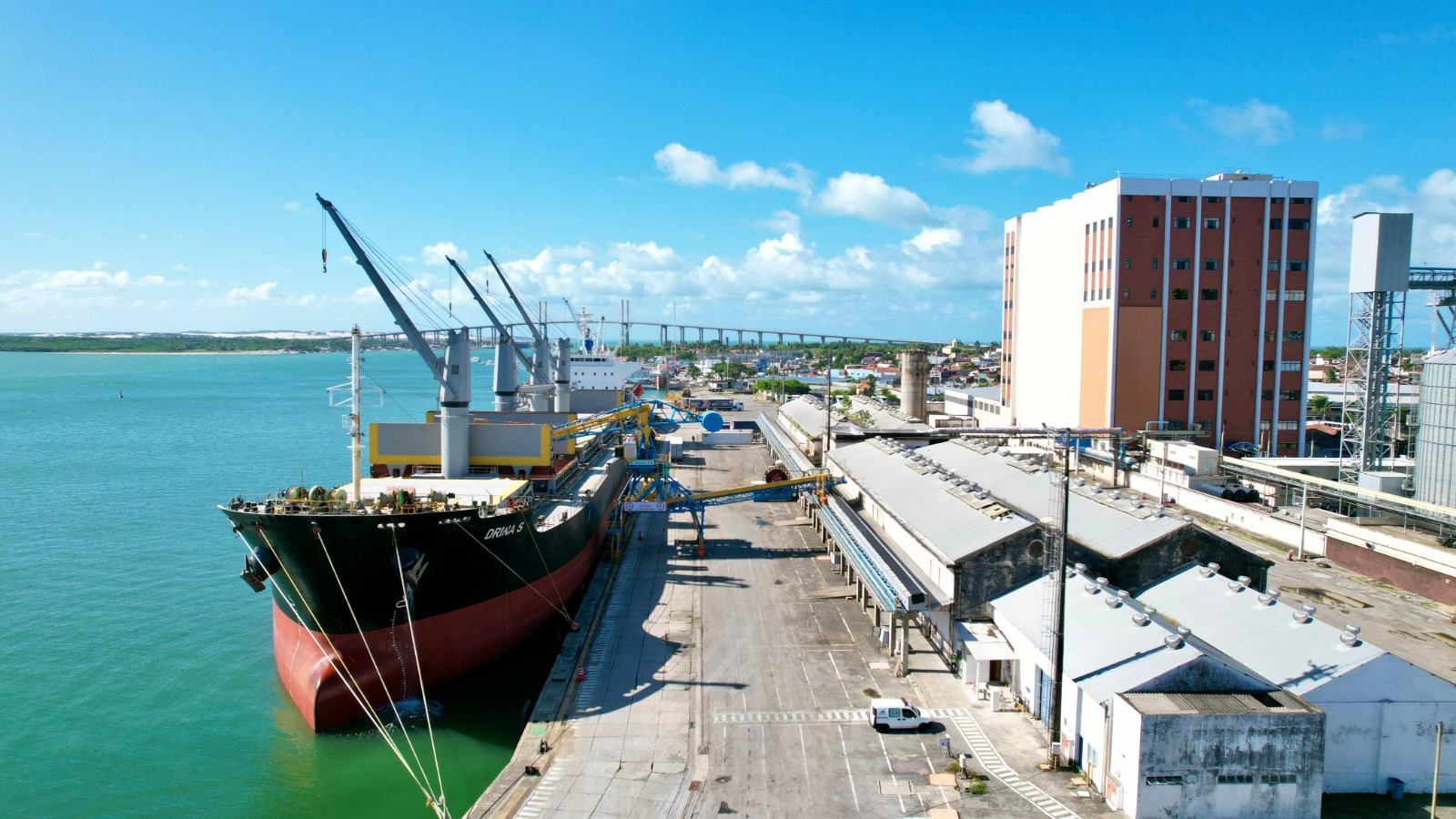 Porto de Natal realiza 2º envio de gado vivo; 3.983 irão para o Egito